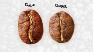 تفاوت قهوه‌های عربیکا و روبوستا: کدام یک برای شما مناسب‌تر است؟