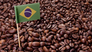 قهوه سانتوس: تجربه‌ای بی‌نظیر از طعم و عطر قهوه‌ای برزیلی