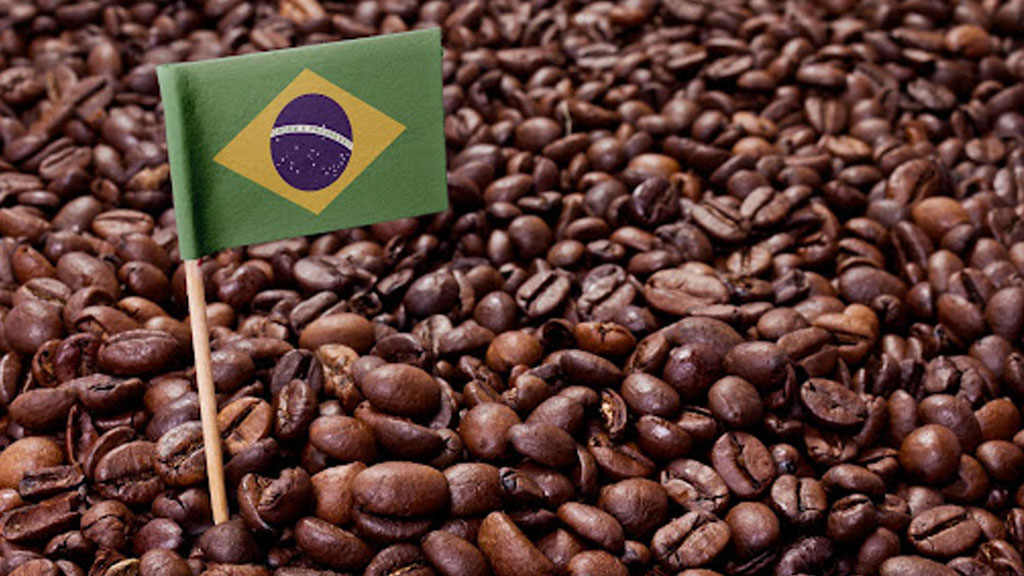 قهوه سانتوس: تجربه‌ای بی‌نظیر از طعم و عطر قهوه‌ای برزیلی